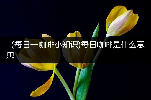 （每日一咖啡小知识)每日咖啡是什么意思