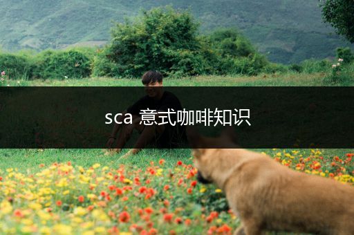 sca 意式咖啡知识