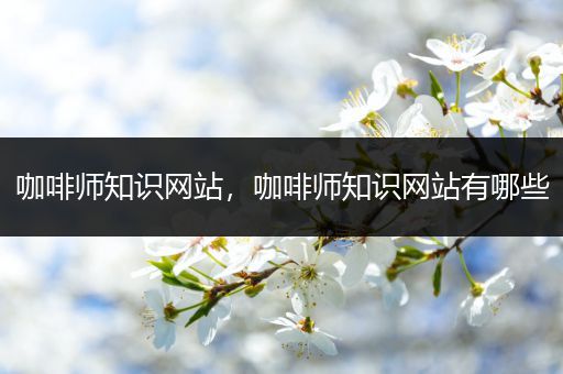 咖啡师知识网站，咖啡师知识网站有哪些