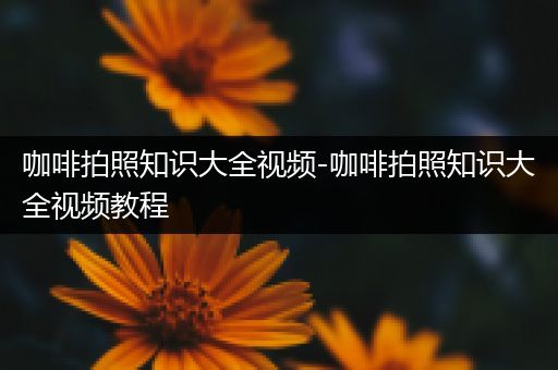 咖啡拍照知识大全视频-咖啡拍照知识大全视频教程