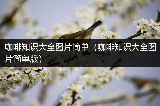 咖啡知识大全图片简单（咖啡知识大全图片简单版）